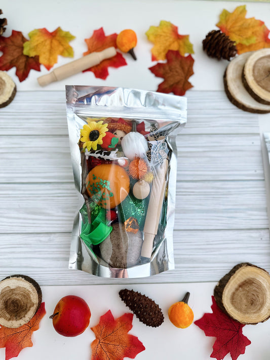 Fall Themed Sensory Kit Large