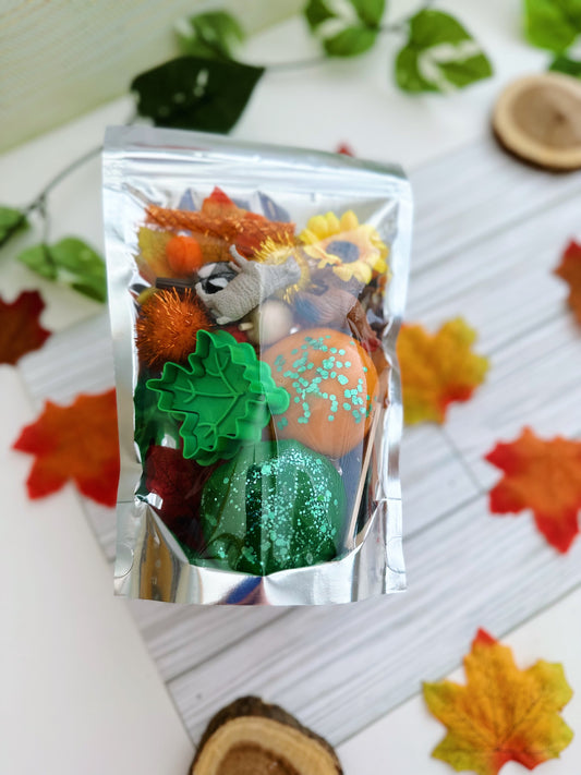 Fall Themed Sensory Kit Medium