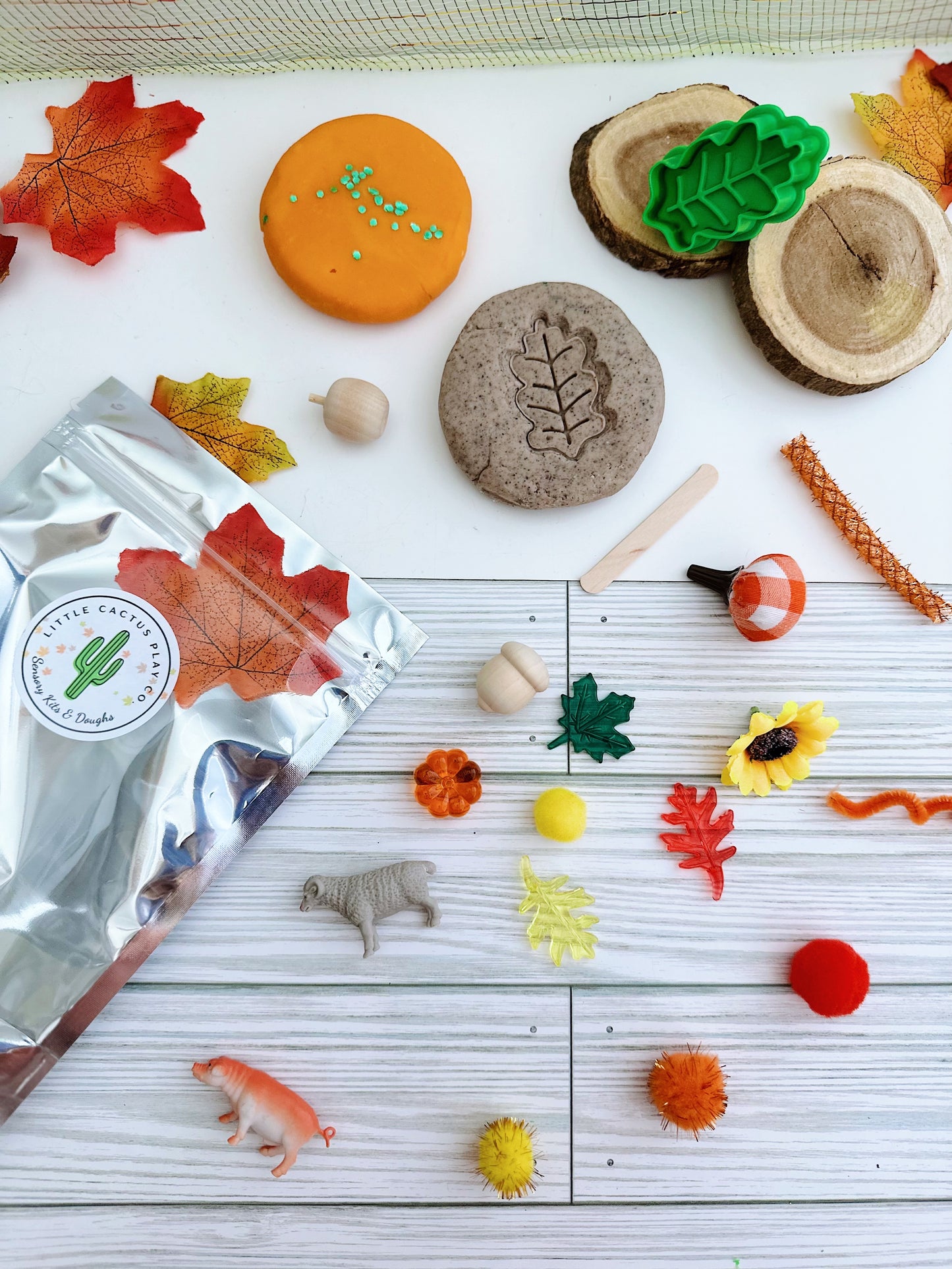 Fall Themed Sensory Kit Large